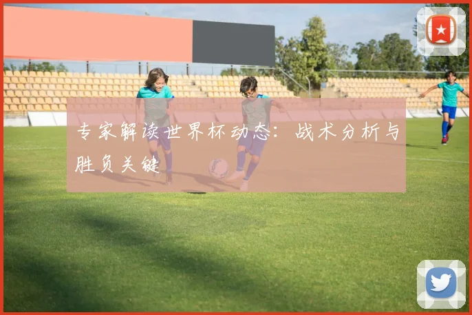 专家解读世界杯动态：战术分析与胜负关键